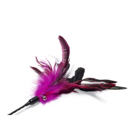 Beeztees Kedi Oltası, Tüylü, Çeşitli Renklerde,