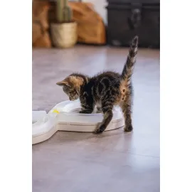 Beeztees Yavru Kedi Oyuncağı, 50x24x5,5cm