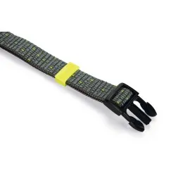 Beeztees Köpek Boyun Tasması, Koyu Gri, 35-50Cm