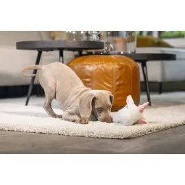 Beeztees Yavru Köpek Oyuncağı, Unicorn, Peluş, Beyaz, 74X14X15Cm