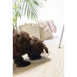 Beeztees Yavru Köpek Yaş Mama Yeme Oyuncağı, Kare, Silikon, Gri, 20X20Cm