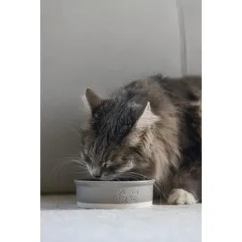 Beeztees Dbl Kedi Mama Su Kabı, Seramik, Mat Gri, 12Cm, 300Ml