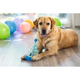 Beeztees Köpek Oyuncağı, Şapka, Peluş, Mavi, 22X14X14Cm