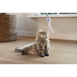 Beeztees Kedi Oltası, Zilli, Tüylü Top ve Kurdelalar,