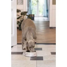 Beeztees Dbl Köpek Mama Su Kabı, Mat Altın Rengi Paslanmaz Çelik, Bej Mermer Görünümlü, 22Cm, 700Ml