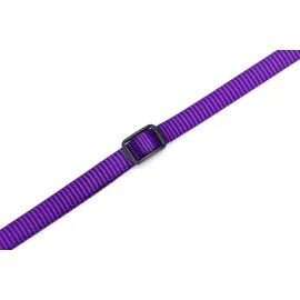 Beeztees Yavru Köpek Boyun Tasması, Çeşitli Renklerde, 22-35Cm, 10Mm