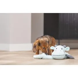 Beeztees Yavru Köpek Oyuncağı, Dragon, Peluş, Gri, 45X24,5X6Cm