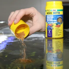 Pronovo Betta Flakes S 100Ml