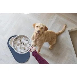 Beeztees Dbl Köpek Yavaş Besleme Mama Kabı, Bambu, Bej, 21Cm, 1430Ml