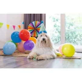 Beeztees Köpek Oyuncağı, Parti Balonu, Peluş, Mavi, 39X13X7,5Cm