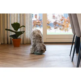 Beeztees Yavru Köpek Mama Yeme Oyuncağı, Silikon, Yeşil, 19Cm