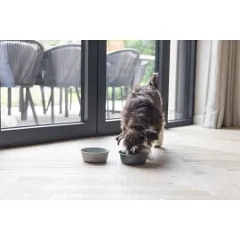 Beeztees Dbl Köpek Mama Su Kabı, Mat Gri Paslanmaz Çelik, 16Cm, 940Ml