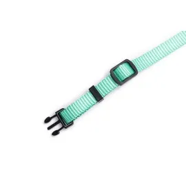 Beeztees Yavru Köpek Boyun Tasması, Çeşitli Renklerde, 17-25Cm, 10Mm