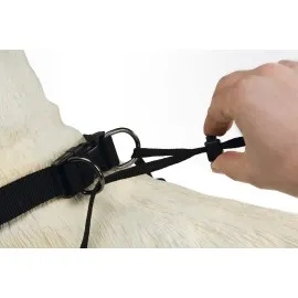 Beeztees Köpek Yürüyüş Eğitim Ve Düzeltme Tasması, S