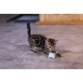 Beeztees Yavru Kedi Oyuncağı, Hışırtılı Top, 4 Adet, 5cm