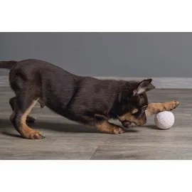 Beeztees Yavru Köpek Oyuncağı, Top, Kauçuk, Pembe, 6Cm