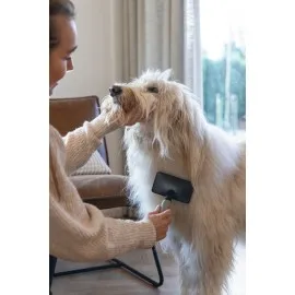 Beeztees Köpek Tarağı, Kolay Tarama, Sm, Siyah Gri, 19Cm, 19X12X4Cm