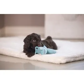 Beeztees Köpek Oyuncağı, Peluş, Turkuaz, 16X18X8,5Cm