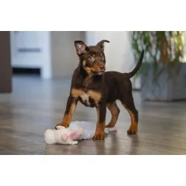 Beeztees Yavru Köpek Oyuncağı, Unicorn, Peluş, Beyaz, 49X10X14Cm