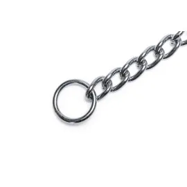 Beeztees Köpek Boyun Tasması, Zincir, 80X1X0,40Cm