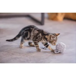 Beeztees Yavru Kedi Oyuncağı, Kuyruklu Yün Top, 6,5cm, 35cm kuyruk