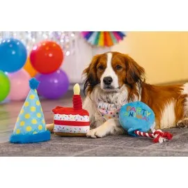 Beeztees Köpek Oyuncağı, Parti Balonu, Peluş, Mavi, 39X13X7,5Cm