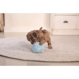 Beeztees Yavru Köpek Oyuncağı, Top, Peluş, Mavi, 10Cm