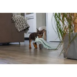 Beeztees Yavru Köpek Oyuncağı, Dragon, Peluş, Gri, 45X24,5X6Cm