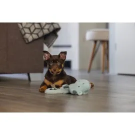 Beeztees Yavru Köpek Oyuncağı, Dragon, Peluş, Gri, 45X24,5X6Cm