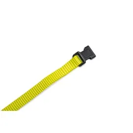 Beeztees Yavru Köpek Boyun Tasması, Çeşitli Renklerde, 17-25Cm, 10Mm