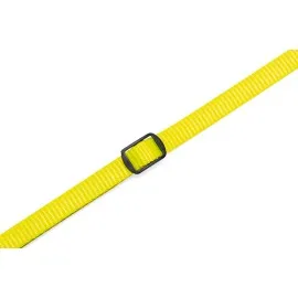 Beeztees Yavru Köpek Boyun Tasması, Çeşitli Renklerde, 22-35Cm, 10Mm