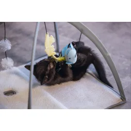 Beeztees Yavru Kedi Oyun Parkı, 40x40x33cm