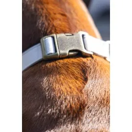 Beeztees Dbl Köpek Tasması, Kadife, Gri, 48-70Cm, 25Mm