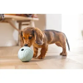 Beeztees Yavru Köpek Oyuncağı, Ödül Ve Oyun, Yumurta, Kauçuk, Turkuaz, 6X6X8Cm