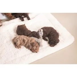 Beeztees Yavru Köpek Oyuncağı, Peluş, Gri, 37X28X4Cm