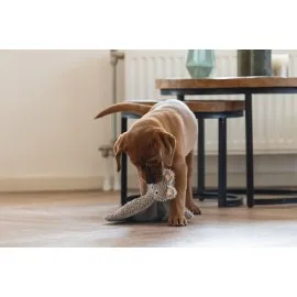 Beeztees Yavru Köpek Oyuncağı, Peluş, Gri, 37X28X4Cm