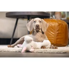 Beeztees Yavru Köpek Oyuncağı, Unicorn, Peluş, Beyaz, 74X14X15Cm