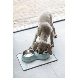 Beeztees Köpek İkili Mama Ve Su Kabı, Paslanmaz Çelik, Turkuaz, 34X17,5Cm, 2X350Ml