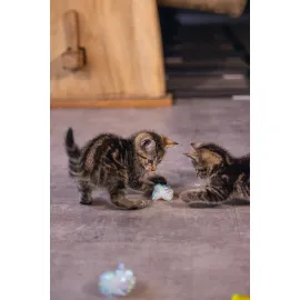 Beeztees Yavru Kedi Oyuncağı, Hışırtılı Top, 4 Adet, 5cm