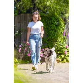 Beeztees Köpek Dışkı Toplama Poşeti Taşıma Çantası, Gri, 8X5X5Cm