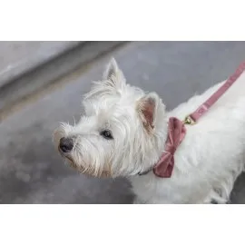 Beeztees Dbl Köpek Papyonu, Kadife, Pembe, 9Cm