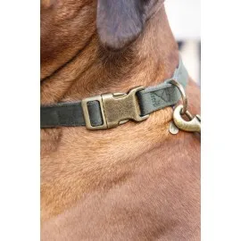 Beeztees Dbl Köpek Tasması, Kadife, Nefti, 48-70Cm, 25Mm