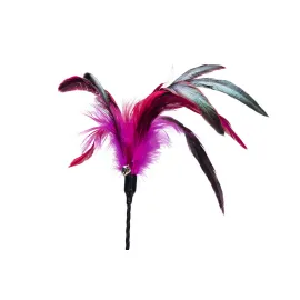 Beeztees Kedi Oltası, Tüylü, Çeşitli Renklerde,