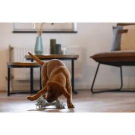 Beeztees Yavru Köpek Oyuncağı, Çift Düğümlü Diş İpi, Peluş, Mavi, 20X6X4,5Cm