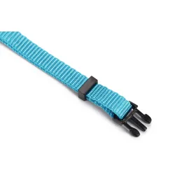 Beeztees Kedi Boyun Tasması, Zilli, Turkuaz, 20-30Cm