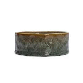 Beeztees Dbl Köpek Mama Su Kabı, Seramik, Yeşil, 13,5Cm, 500Ml