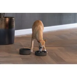 Beeztees Dbl Köpek Yavaş Besleme Mama Kabı, Bambu, Antrasit, 17Cm, 800Ml