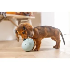 Beeztees Yavru Köpek Oyuncağı, Ödül Ve Oyun, Yumurta, Kauçuk, Turkuaz, 6X6X8Cm