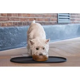 Beeztees Dbl Mama Su Kabı Servisi, Silikon, Kaymaz, Antrasit, 45X25X1,5Cm