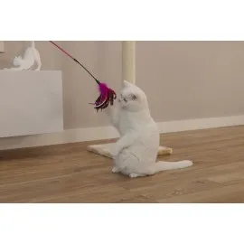 Beeztees Kedi Oltası, Tüylü, Çeşitli Renklerde,